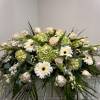 Img 5764
