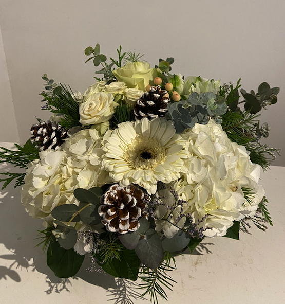 Screen Shot 2022 12 16 At 3.00.21 Pm