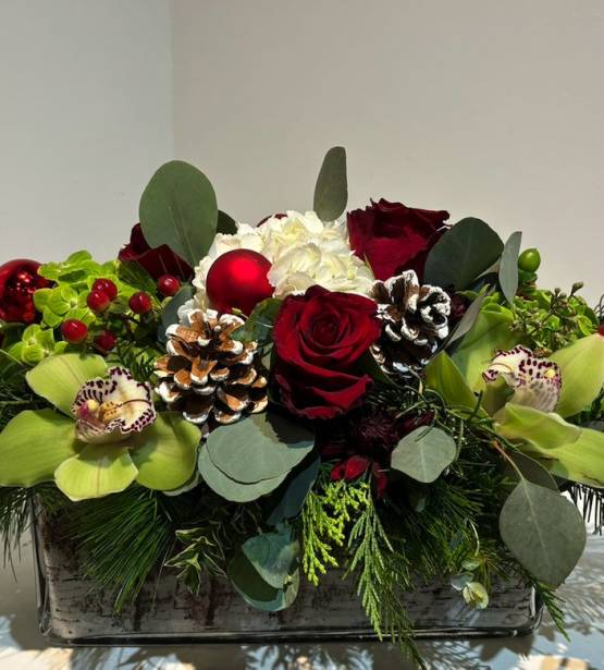 Screen Shot 2023 12 21 At 11.08.51 Am