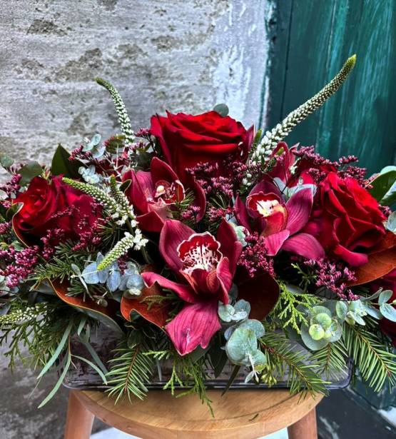 Screen Shot 2024 12 22 At 11.50.46 Am